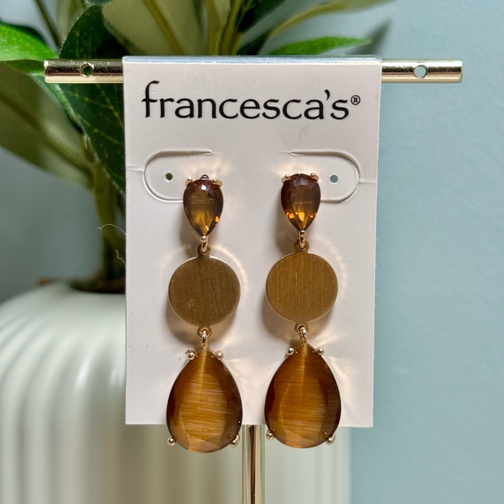 Francesca's Tigerseye Gold and Brown Drop Earrings